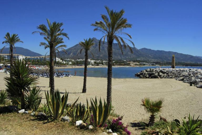 Renovado Apartamento 1 Dormitorio,Centro Marbella. Marbelsun Dış mekan fotoğraf